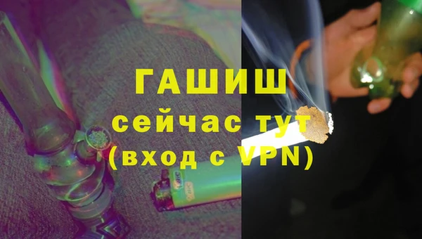гашик Кулебаки