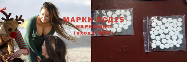 гашик Кулебаки