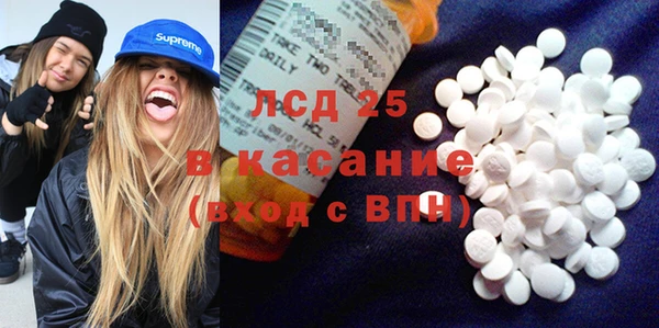 гашик Кулебаки