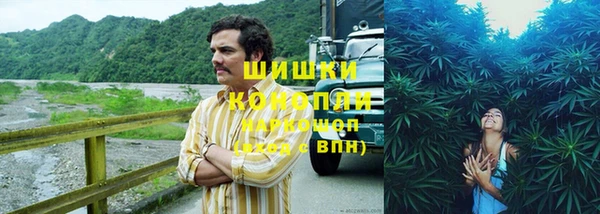 дмт Кукмор
