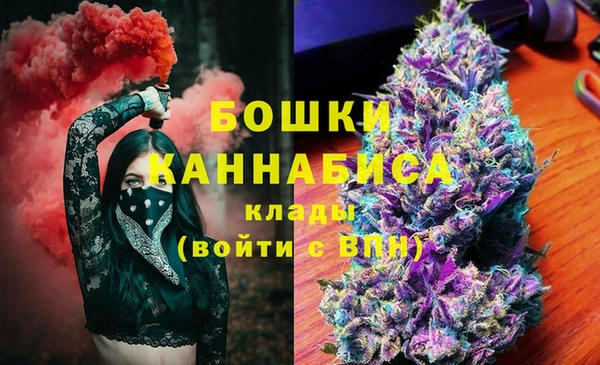 дмт Кукмор