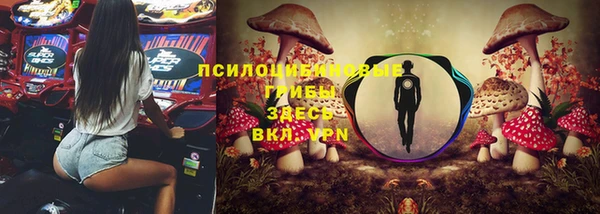 дмт Кукмор