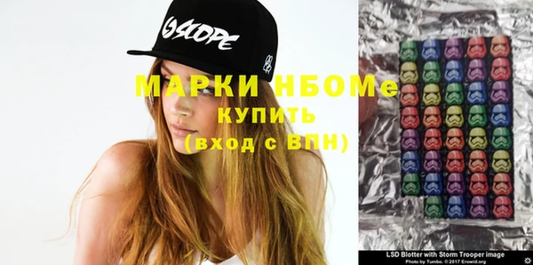 гашик Кулебаки