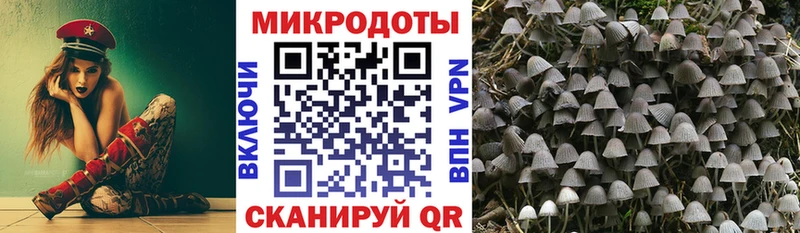 Псилоцибиновые грибы GOLDEN TEACHER  Купить  Барабинск 